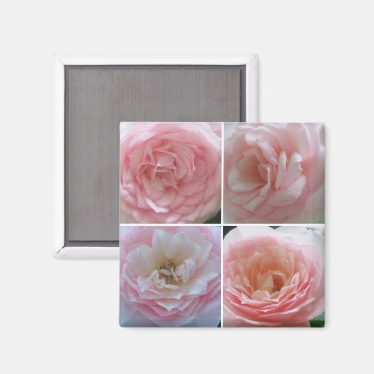 Aimant Belles Roses (Recto/Verso)