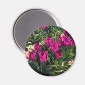 Aimant Belles tulipes (Recto/Verso)