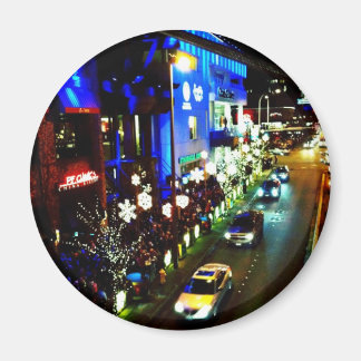 Aimant bellevue pendant Noël