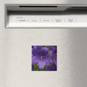 Aimant Bellflower chinoise (In Situ (Lave-vaisselle))