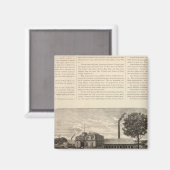 Aimant Benedict et Burnham (Recto/Verso)