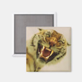 Aimant Bengale Tiger Faune Big Cat Lover Photo (Recto/Verso)