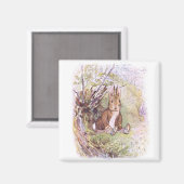 Aimant Benjamin Bunny (par Beatrix Potter) (Recto/Verso)