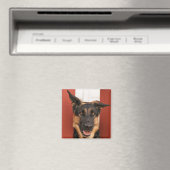 Aimant berger allemand 2 (In Situ (Lave-vaisselle))