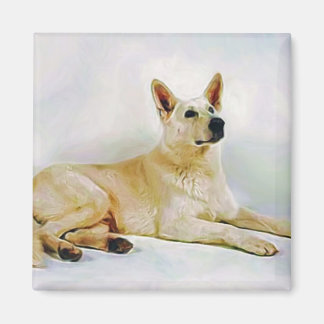 Aimant Berger allemand blanc