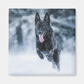 Aimant Berger allemand noir dans la couverture de duvet d (Devant)