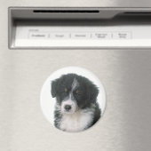 Aimant Berger Australien chiot Aussie (In Situ (Lave-vaisselle))