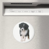 Aimant Berger Australien chiot Aussie (In Situ (Lave-vaisselle))