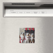 Aimant Berger australien près de la cheminée Noël (In Situ (Lave-vaisselle))