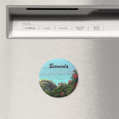 Aimant Bermudes (In Situ (Lave-vaisselle))