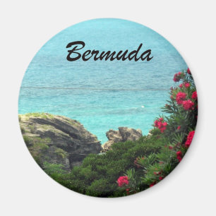 Aimant Bermudes