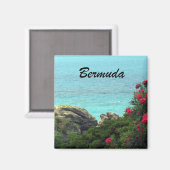 Aimant Bermudes (Recto/Verso)