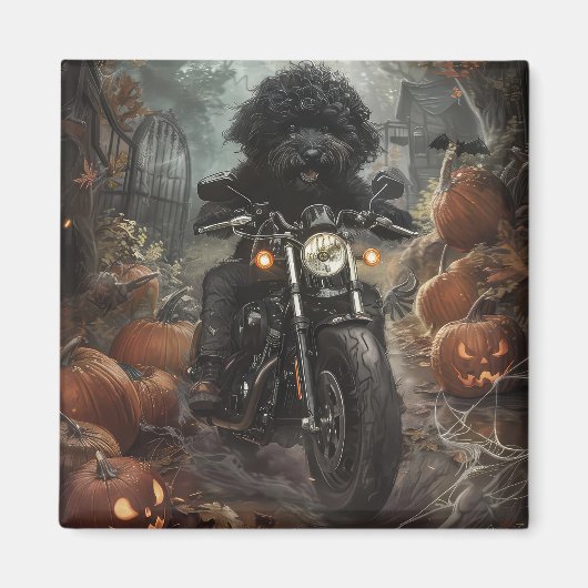 Aimant Bernedoodle Riding Moto Halloween effrayant (Devant)
