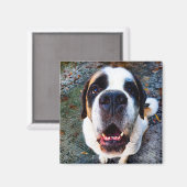 Aimant Bernhadine (Recto/Verso)