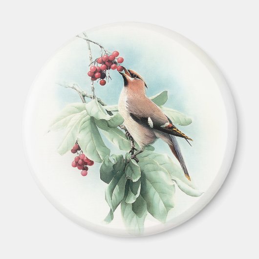 Aimant Berries Pour Manger (Devant)