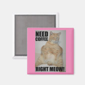 Aimant BESOIN DE CAFÉ DROITE ! Manx Chat assis drôle (Recto/Verso)