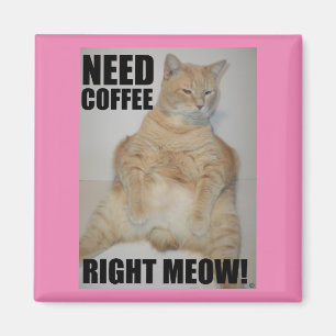 Aimant BESOIN DE CAFÉ TOUT DE SUITE ! Chat Manx assis drô