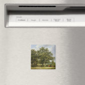 Aimant Bétail (In Situ (Lave-vaisselle))