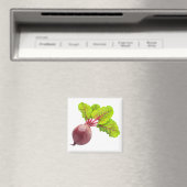 Aimant betterave (In Situ (Lave-vaisselle))