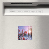 Aimant Beurre d'hiver dans l'aimant de glace (In Situ (Lave-vaisselle))