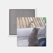 AIMANT BFF (Recto/Verso)