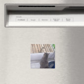 AIMANT BFF (In Situ (Lave-vaisselle))