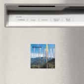 Aimant Bhoutan oriental (In Situ (Lave-vaisselle))