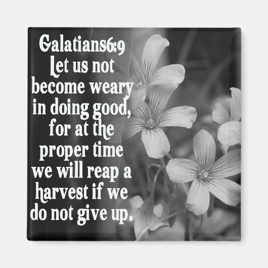 AIMANT BIBLIOTHÈQUE GALATIENS 6:9 (Devant)