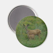 Aimant Biche et faon de cerf mulet D5 (Recto/Verso)