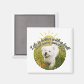 Aimant Bichon & Ball Jours de pissenlits (Recto/Verso)