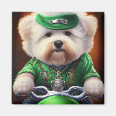 Aimant Bichon Frisé Chien Conduite Vélo St. Patrick (Devant)