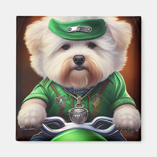 Aimant Bichon Frisé Chien Conduite Vélo St. Patrick (Devant)