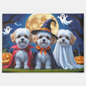 Aimant Bichon Frise Chiens Citrouille Halloween Funny (Recto)