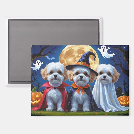 Aimant Bichon Frise Chiens Citrouille Halloween Funny (Recto/Verso)