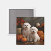 Aimant Bichon Frise Puppy Automne Citrouille délice (Recto/Verso)