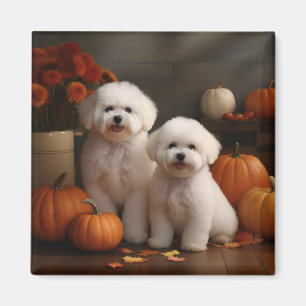 Aimant Bichon Frise Puppy Automne Citrouille délice