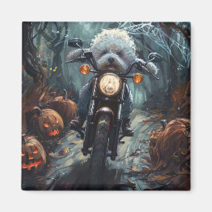 Aimant Bichon Frise Riding Moto Halloween Scandale