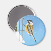 Aimant Bickadee sur la peinture d'alimentation - Oiseaux (Recto/Verso)