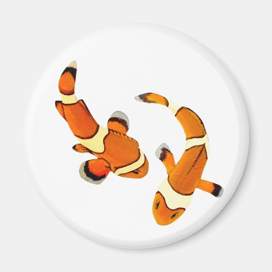 Aimant Bicker Poisson clown (Devant)