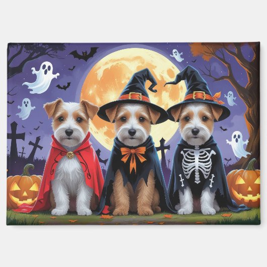 Aimant Biewer Terrier Chiens Citrouille Halloween Funny (Recto)