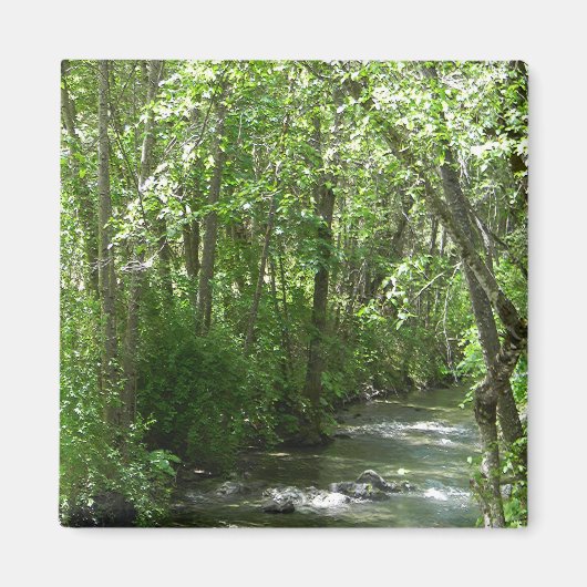 Aimant Big Creek en été..... (Devant)