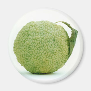 Aimant Big Green Hedgeapple