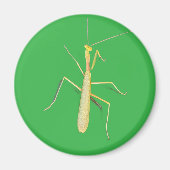 Aimant Big Mantis (Devant)