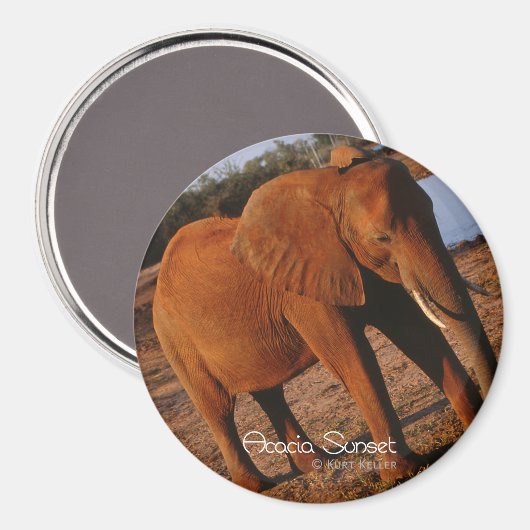 Aimant Big Red (Recto/Verso)