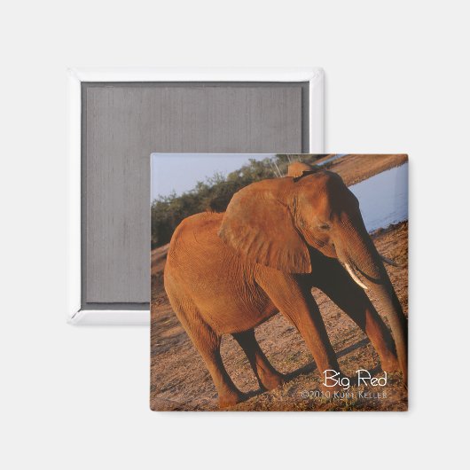 Aimant Big Red (Recto/Verso)