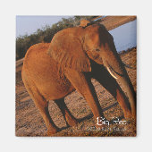 Aimant Big Red (Devant)