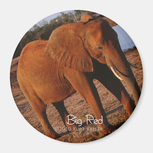 Aimant Big Red (Devant)