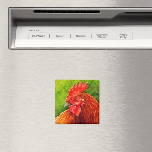 Aimant Big Red - Rooster Magneted R (In Situ (Lave-vaisselle))