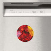 Aimant Bijou (In Situ (Lave-vaisselle))