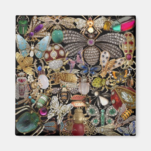 Aimant bijoux d'insectes (Devant)